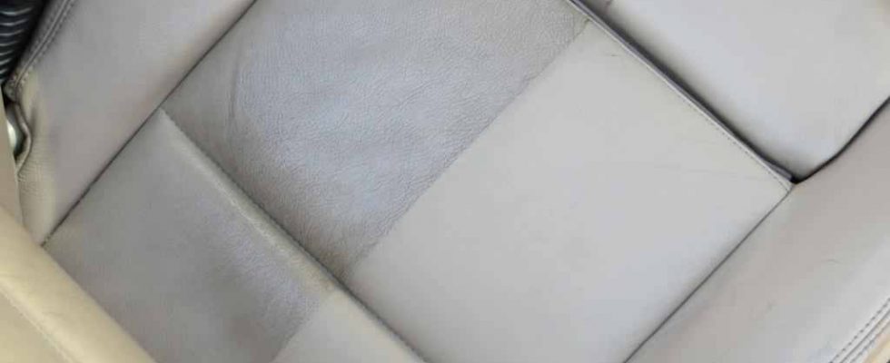 Leather Cleanse & Treatment